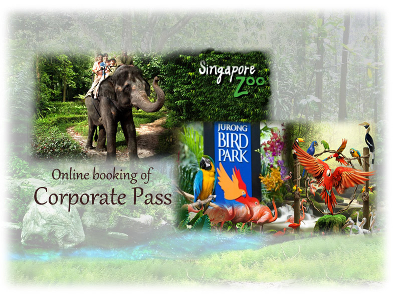 river safari corporate pass booking